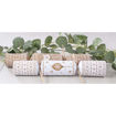 Picture of ECO STAR & BAUBLE CHRISTMAS CRACKERS 9 INCH - 6 PACK